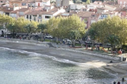 Collioure : Perle de la Côte Vermeille 22 Collioure - Plage de Port d'Avall
